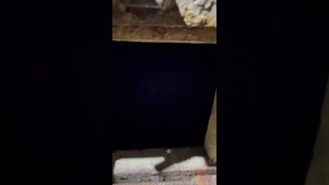 В тюремной камере СИЗО «Кресты» #shorts смотреть онлайн