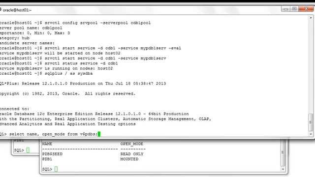 Using Services to Automatically Start PDBs in a RAC Environment смотреть онлайн