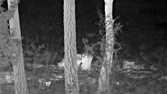 Pulsar Talion XQ35 Pro - Thermal Riflescope