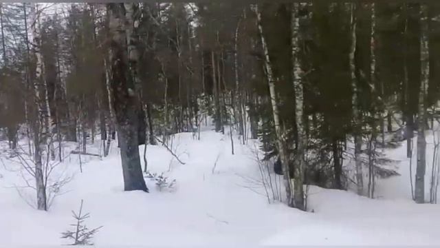 Организация охот хозяйства с нуля смотреть онлайн