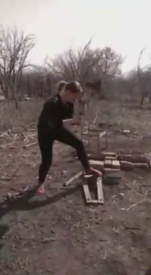 Эти и коня на скаку остановят.