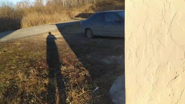 Котел Zota тополь М работает!