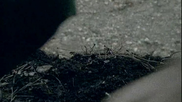 Status Quo - In The Army Now смотреть онлайн