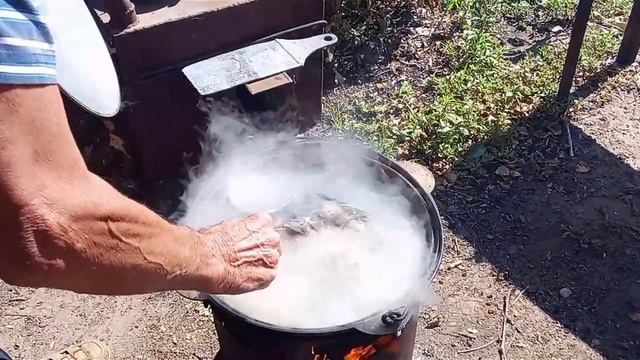 ТРОЙНАЯ УХА И ШАШЛЫК ИЗ СОМА Стоит пробовать! смотреть онлайн