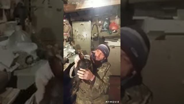 Как лечить крольчонка если у него болит живот смотреть онлайн