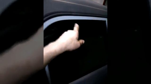 кариб в раптор! смотреть онлайн