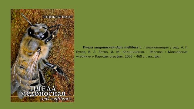 Виртуальный обзор «Пчеловодство - дело тонкое»