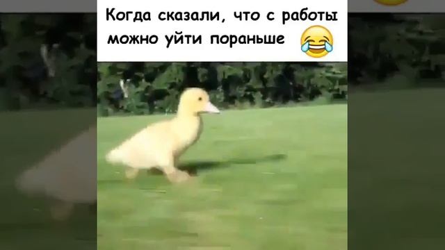 Когда с работы можно уйти пораньше смотреть онлайн