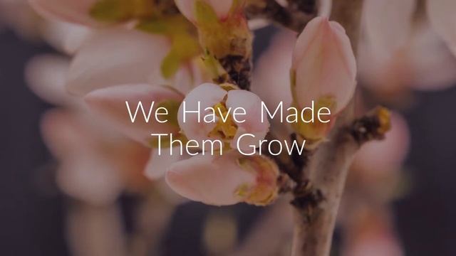 SEO Agency In Los Angeles, California | Turning Profit From 0 To 200% | Jai Prakash Marketing Agenc смотреть онлайн