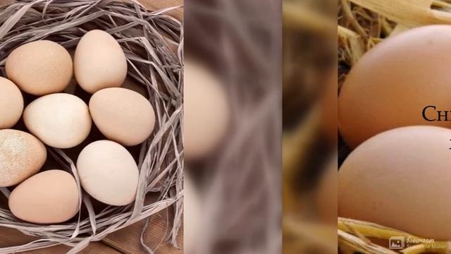 Польза куриного яйца смотреть онлайн