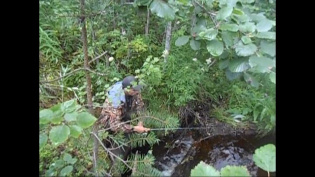 Рыбалка в Северной Карелии с 01.08. по 14.08.2015 г. смотреть онлайн