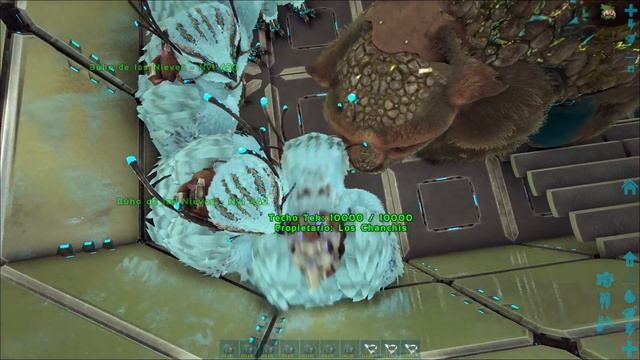 CHANCHITOWER - Tips For New Gacha Tower Full Tek смотреть онлайн