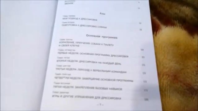 Какие книги читать о дрессировке и воспитании собак?Вот 11лучших книг о собаках! Часть 4. смотреть онлайн
