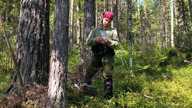 Кордон "Еловка". Изучение истории лесных пожаров в сосновых лесах заповедника "Денежкин Камень" смотреть онлайн