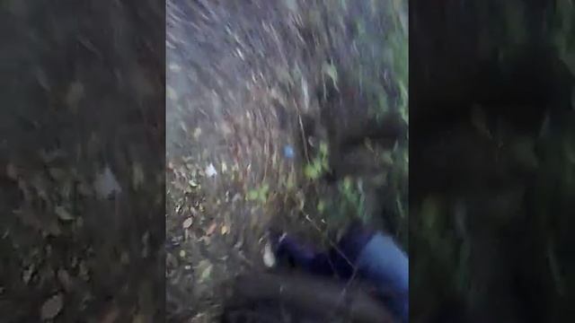 Нашли мячик в кустах! В поисках вещей смотреть онлайн