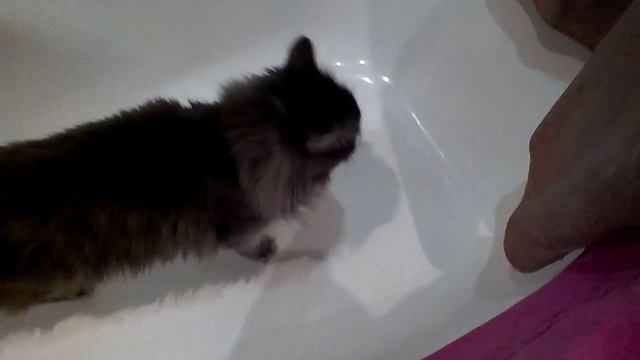 Чистота: комфорт и гармония