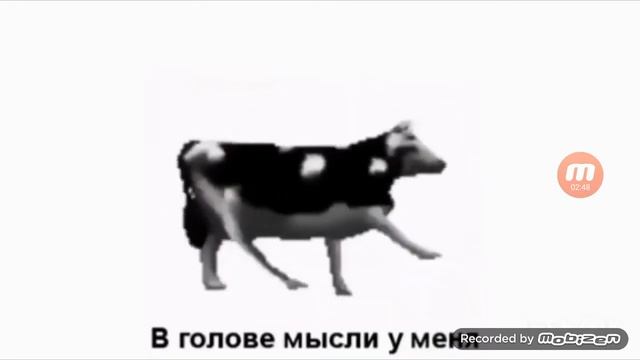 ПОЛЬСКАЯ КОРОВА (ПЕРЕВОД) РЕАКЦИЯ смотреть онлайн