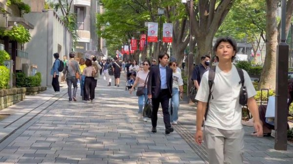 4k hdr japan travel | Walk in Harajuku(原宿)Tokyo japan | Relaxing Natural City ambience