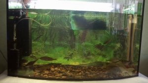 Аэрлифтный фильтр с АлиЭкспресс. Обзор.