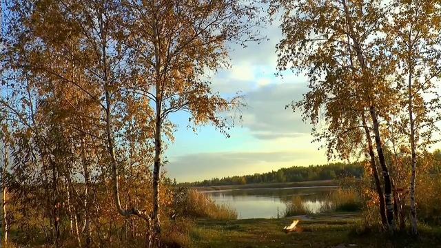 Пение птиц и треск костра. Звук костра. / Сон за 3 минуты. / Звуки для релаксации, сна, работы смотреть онлайн