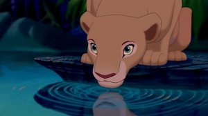 Король лев Песня