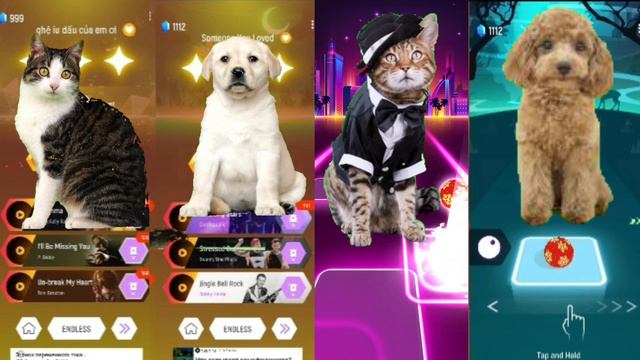 Music jump- Cute Cats🆚 Cute PappyLady Gaga Bloody Mary Shakira Waka Bongo cat 🆚 смотреть онлайн