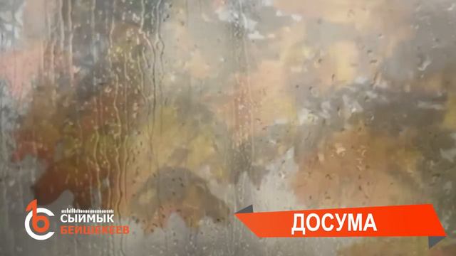 Досума - Сыймык Бейшекеев #сыймыкбейшекеев #досума #таалайбектурганов