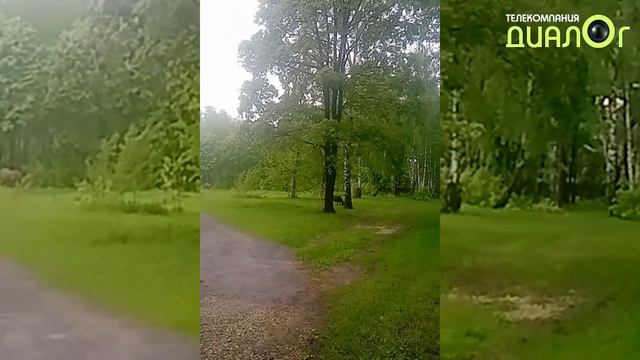 Малаховка (Видеоблог Евгения Степанова) смотреть онлайн