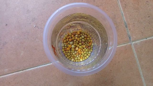 Osmocot කියන්නේ මොනවාද