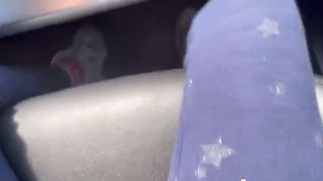 Чистю машину! Что я там нашла ?😨😱😰это кошмар откуда это там ?Сматрите до конца! Это шок 🤯! смотреть онлайн