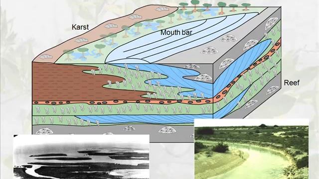Clear As Mud: Exploring Ancient Mangroves And Their Inhabitants смотреть онлайн