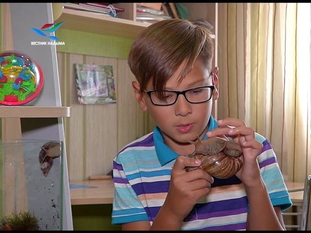 Продлёнка 20.11.2017