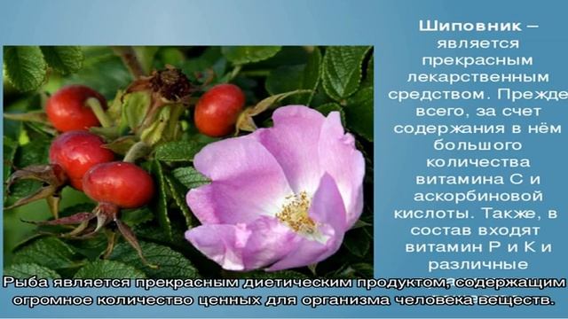 Фаршированная скумбрия, запеченная в духовке смотреть онлайн