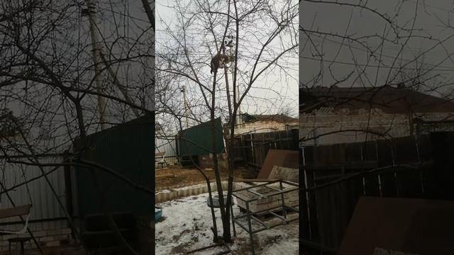 Маленькая девочка - Большое будущее МЧС!!!