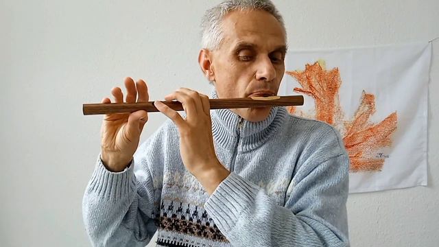 Бансури Си-бемоль 10 отверстий как на сопилке смотреть онлайн