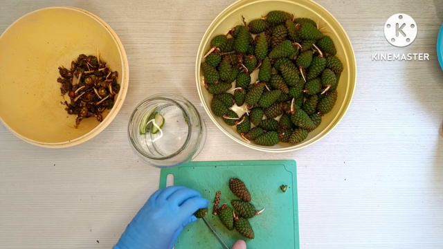 В гостях у Светланы