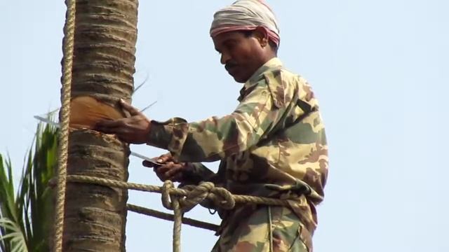 Canon SX430 IS HD 45x OPTICAL ZOOM смотреть онлайн