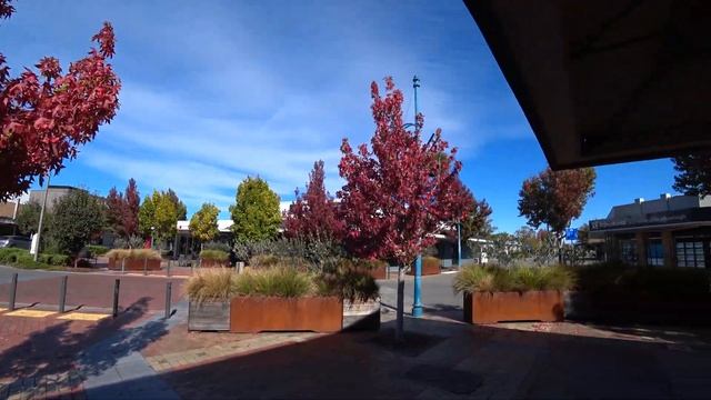 [4K] Blenheim - Walking Tour, New Zealand смотреть онлайн