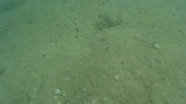 Путешествия Вокруг Света