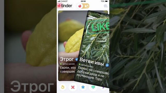 СУККОТ | история и традиции праздника смотреть онлайн