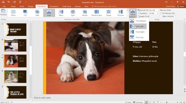 PowerPoint: Applying Transitions смотреть онлайн