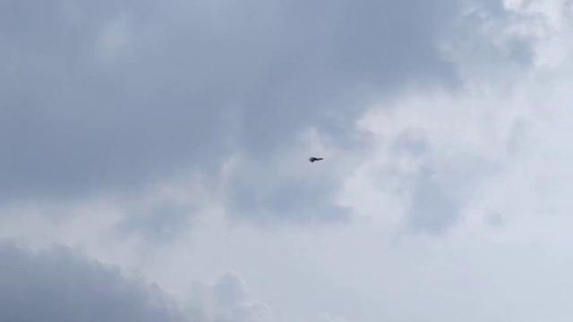 Хищная птица ? над Резиденцией Май