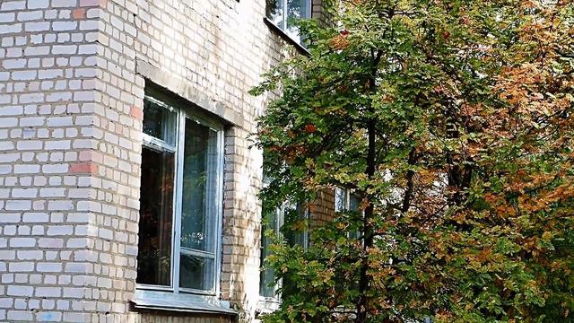 В Богане смотреть онлайн