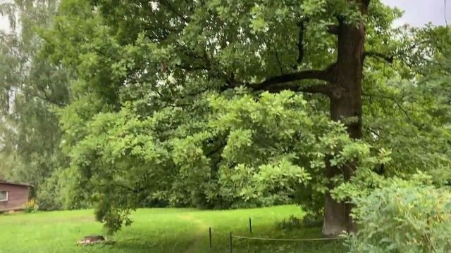 Гроза в усадьбе Мураново.. всё прям по Тютчеву)! смотреть онлайн