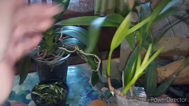 Привет из Крыма! И снова новинки))) смотреть онлайн