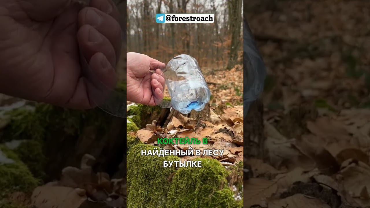 КРУЖКА ИЗ ГРЯЗНОЙ БУТЫЛКИ? БРЕДОВЫЕ ЛАЙФХАКИ ДЛЯ ВЫЖИВАНИЯ! #survival #выживание #bushcraft #shorts смотреть онлайн