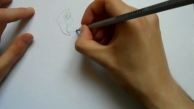Видео: как нарисовать попугая? смотреть онлайн