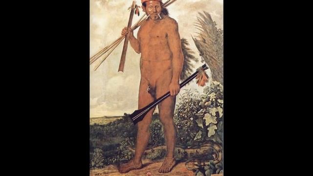 Artistas Holandeses- Frans Post e Albert Eckhout смотреть онлайн