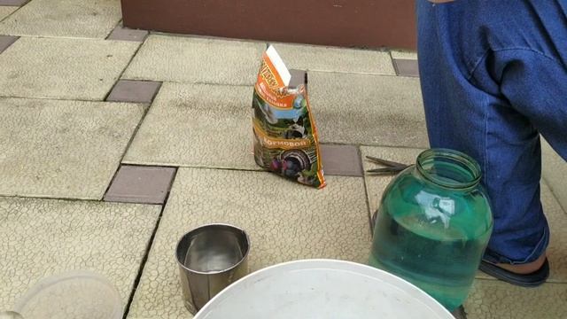 Готовим,голубям минеральный камень. смотреть онлайн