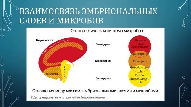 Германская Новая Медицина|Первое знакомство смотреть онлайн